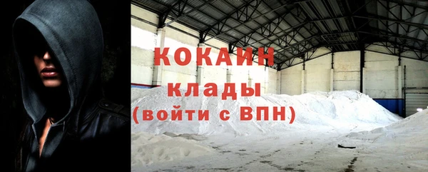 хмурый Бородино