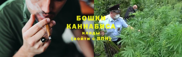 хмурый Бородино