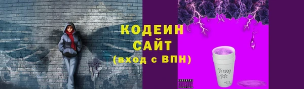 хмурый Бородино