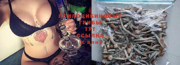 трава Богородицк