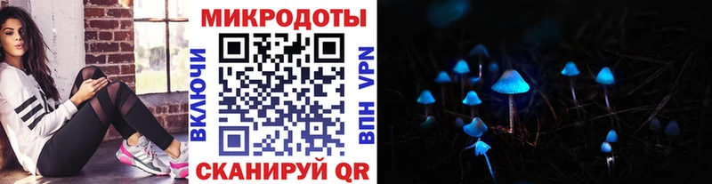 Псилоцибиновые грибы Cubensis  где найти   Белово 