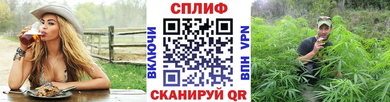 Конопля планчик  Белово 
